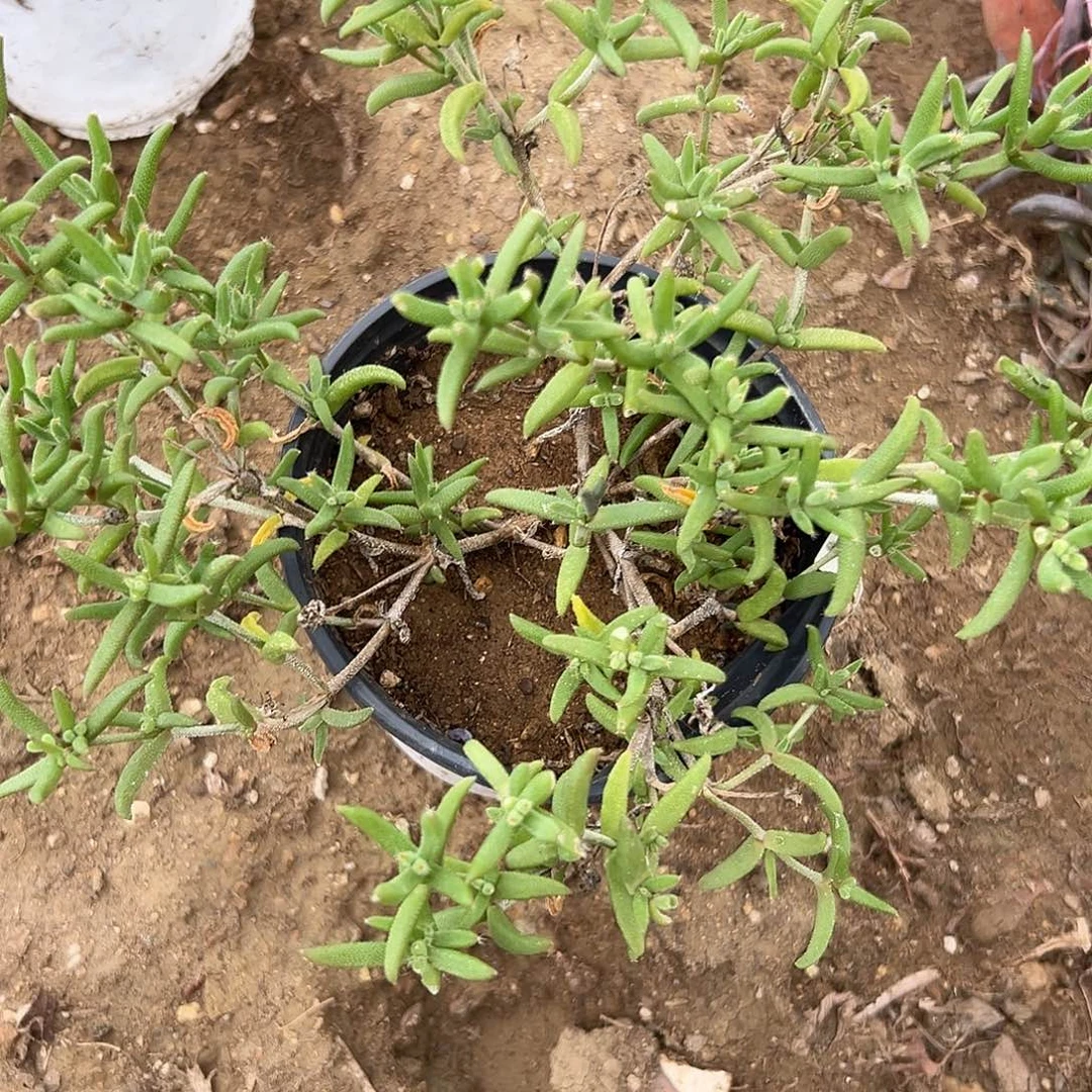 饿了呃呃呃呃呃呃呃呃呃