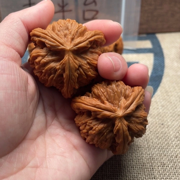 芭***比核桃白狮子42核桃