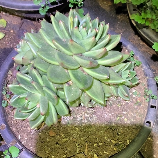 笑*″每日特价活动开始啦