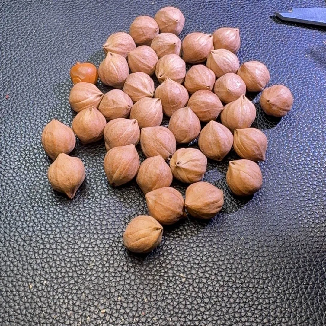 全****手串/手链橄榄核1