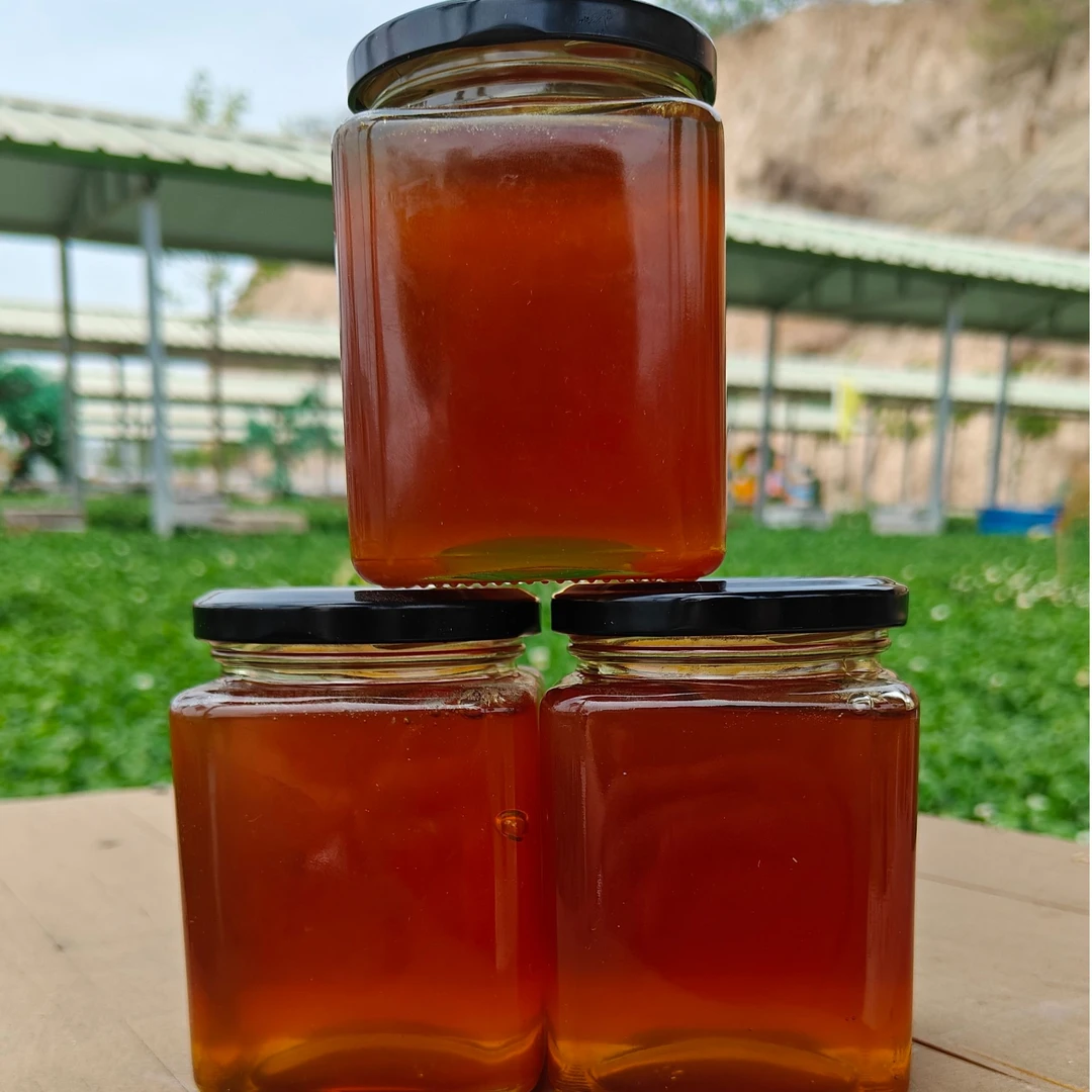 【众天】秦岭土蜂蜜自家深山百花蜜手工过滤原蜜保纯500g