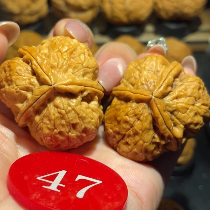 老树黄金三棱尺寸40