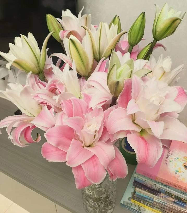 （新品重瓣）好奇心重瓣香水百合花