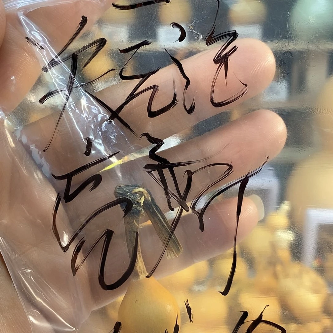 橄榄核手串/手链精品文玩葫芦随便挑