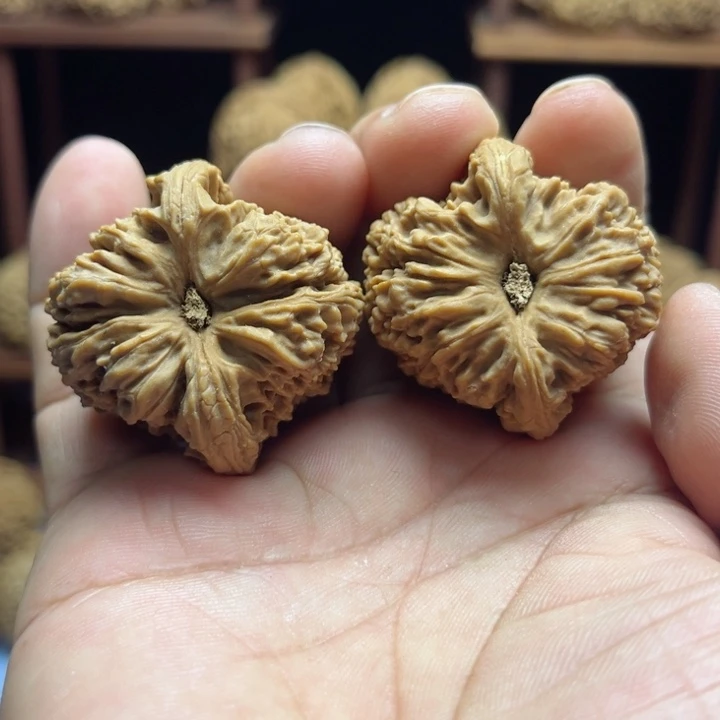 完全开放沉南疆石