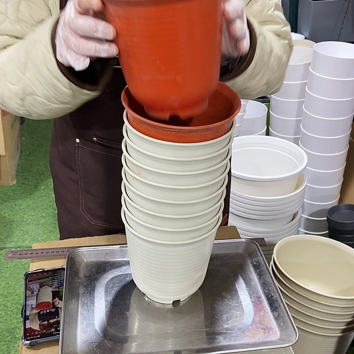 塑料高陶口15高15混色无拖10只