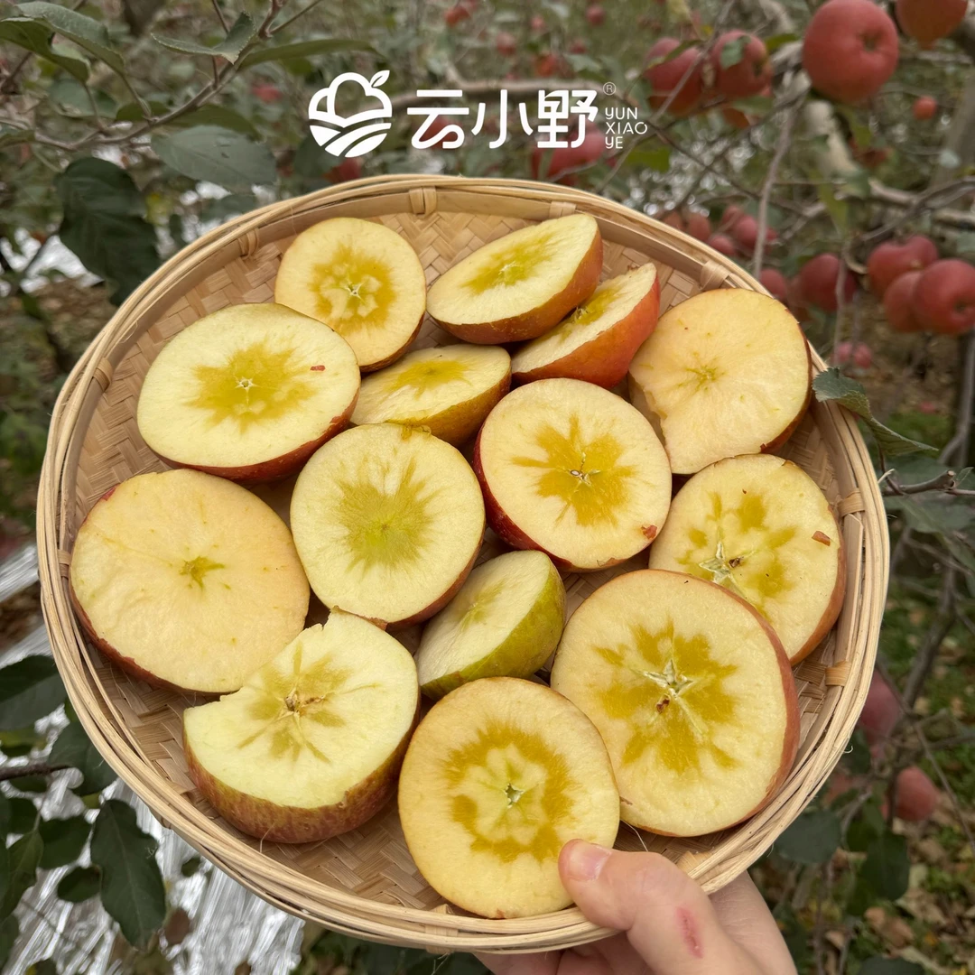 【霜后高糖版】云南昭通丑苹果高原冰糖心  新鲜采摘多糖心（家庭装）
