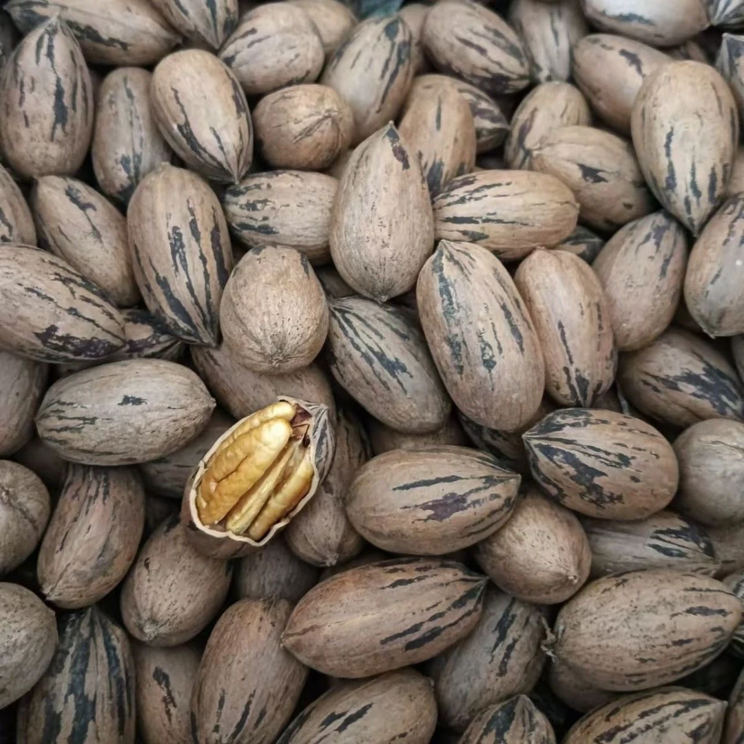 原味无添加碧根果