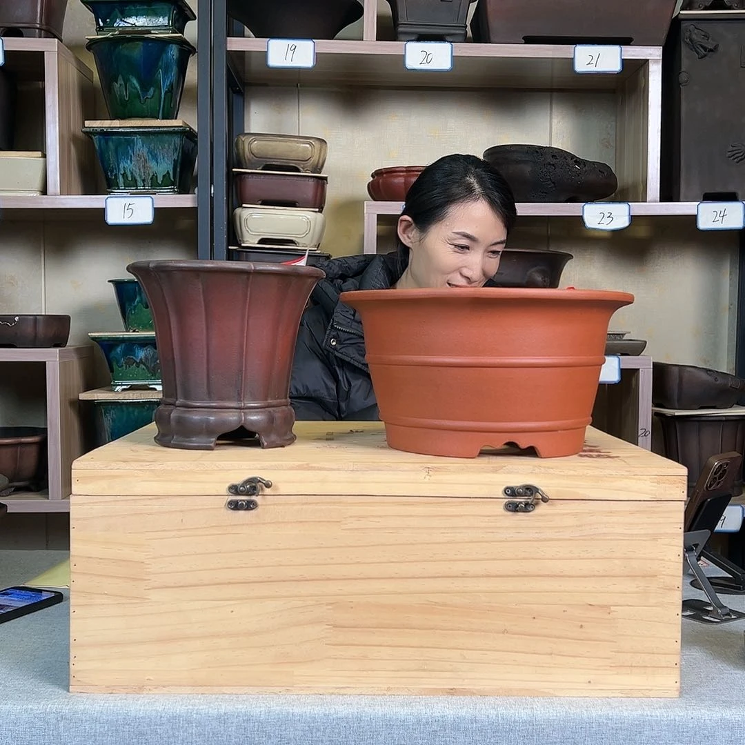 紫砂花盆烨*58669559966569