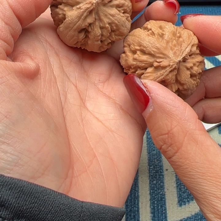 桃核吊坠文玩霸王龙