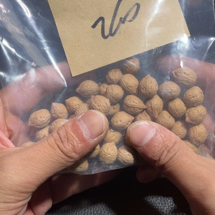 桃核吊坠心**色野生小核桃9