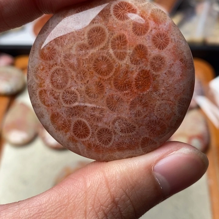 硅化玉颈饰足金镶嵌飞*海