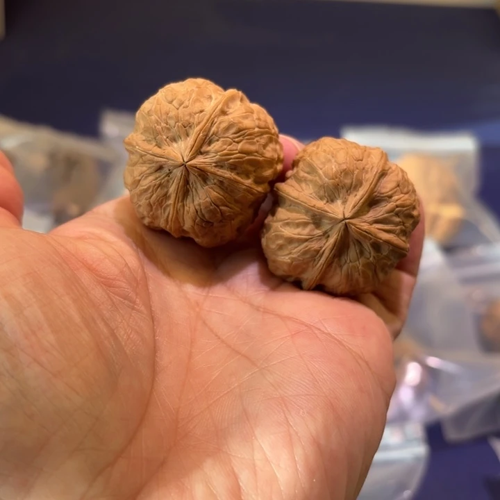 吊坠文玩核桃太子洞四棱