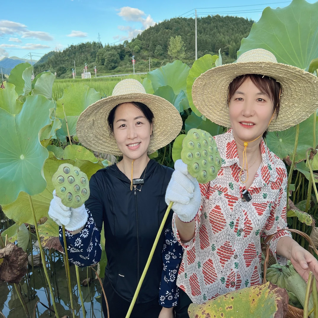 【梁娟专属】铅山农家通芯白莲子，纯手工，无添加