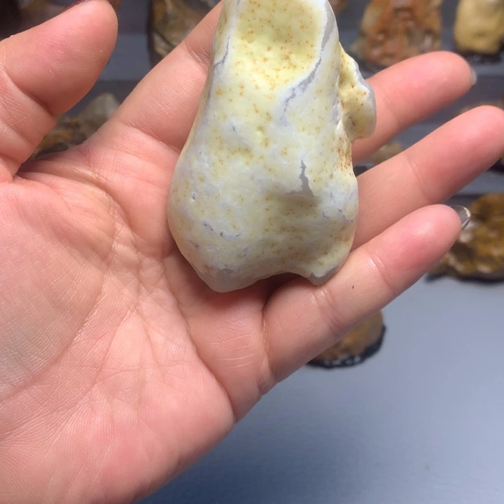 阿拉善天使戈壁奇石