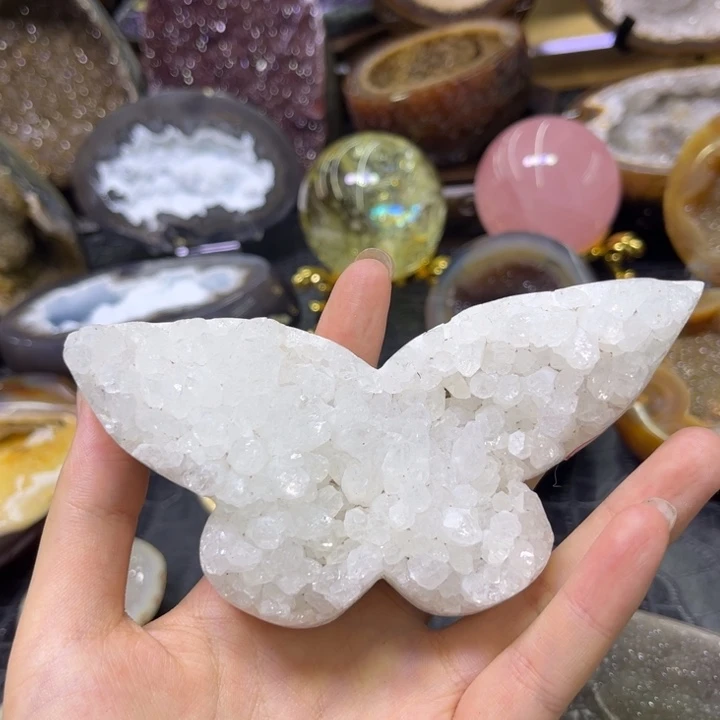 未镶嵌发饰水晶白晶蝴蝶