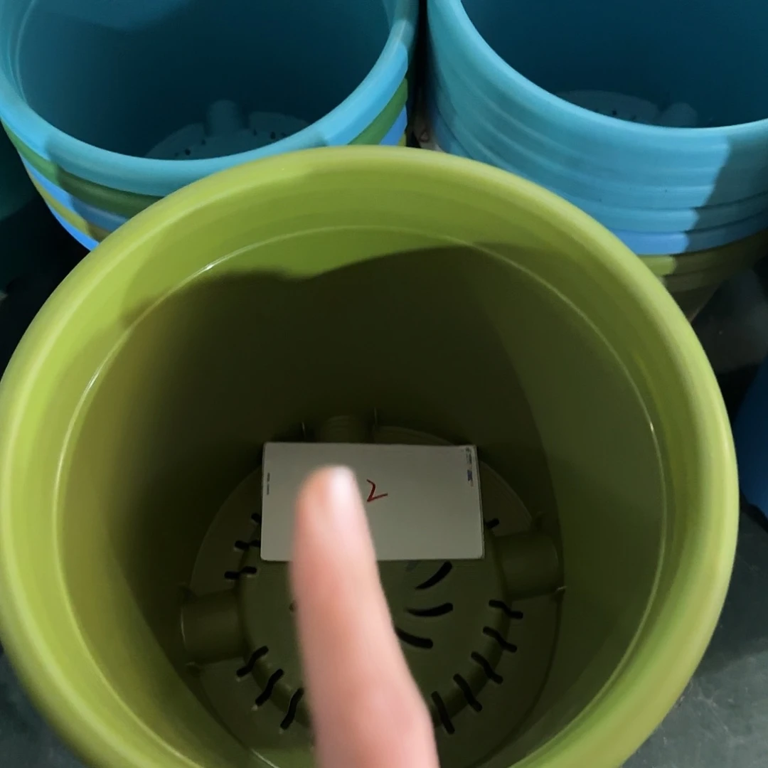 树脂编号32四季5号