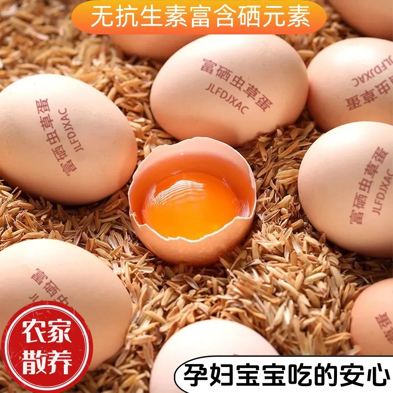 【送货上门】正宗富硒大个虫草蛋孕妇月子正宗农家山林散养柴鸡蛋