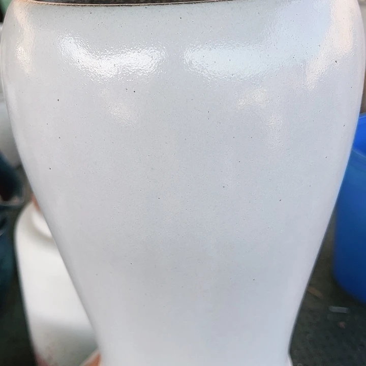 口18.31……花盆花盆花盆