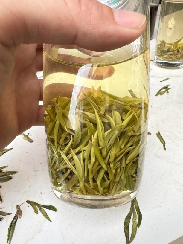 25 年高山小芽头兰花香凤形白茶毛峰白茶