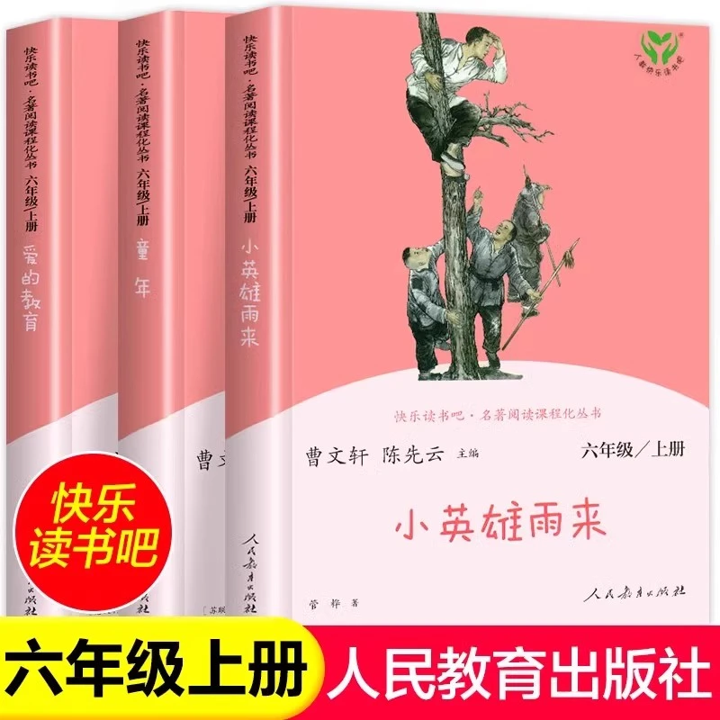 小英雄雨来 六年级上册 快乐读书吧课外书 正版童年书爱的教育