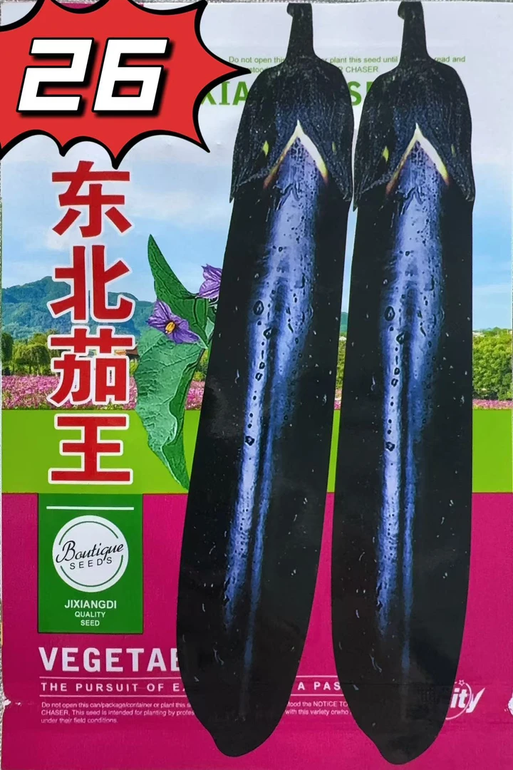26吉祥东北茄王中熟品种抗病性强茄子子