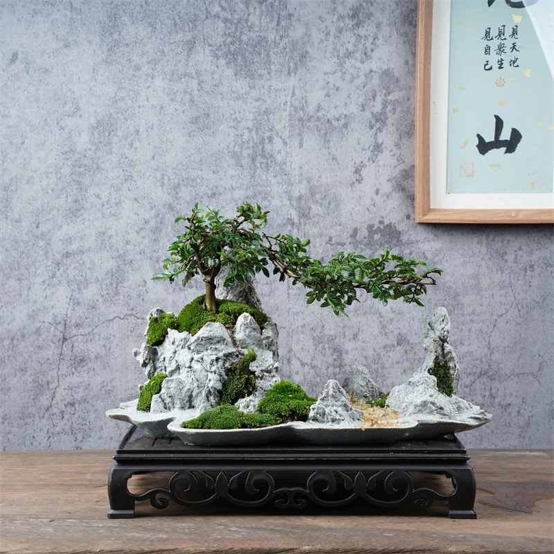 888# 原创人造青砂石桂林山水小叶榔榆盆景