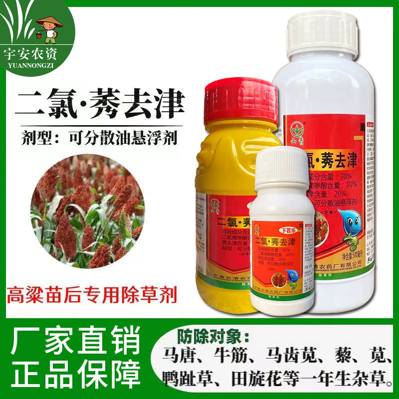 下茬乐高粱地苗后除草专用剂除草烂根剂二氯喹啉酸莠去津封闭农药