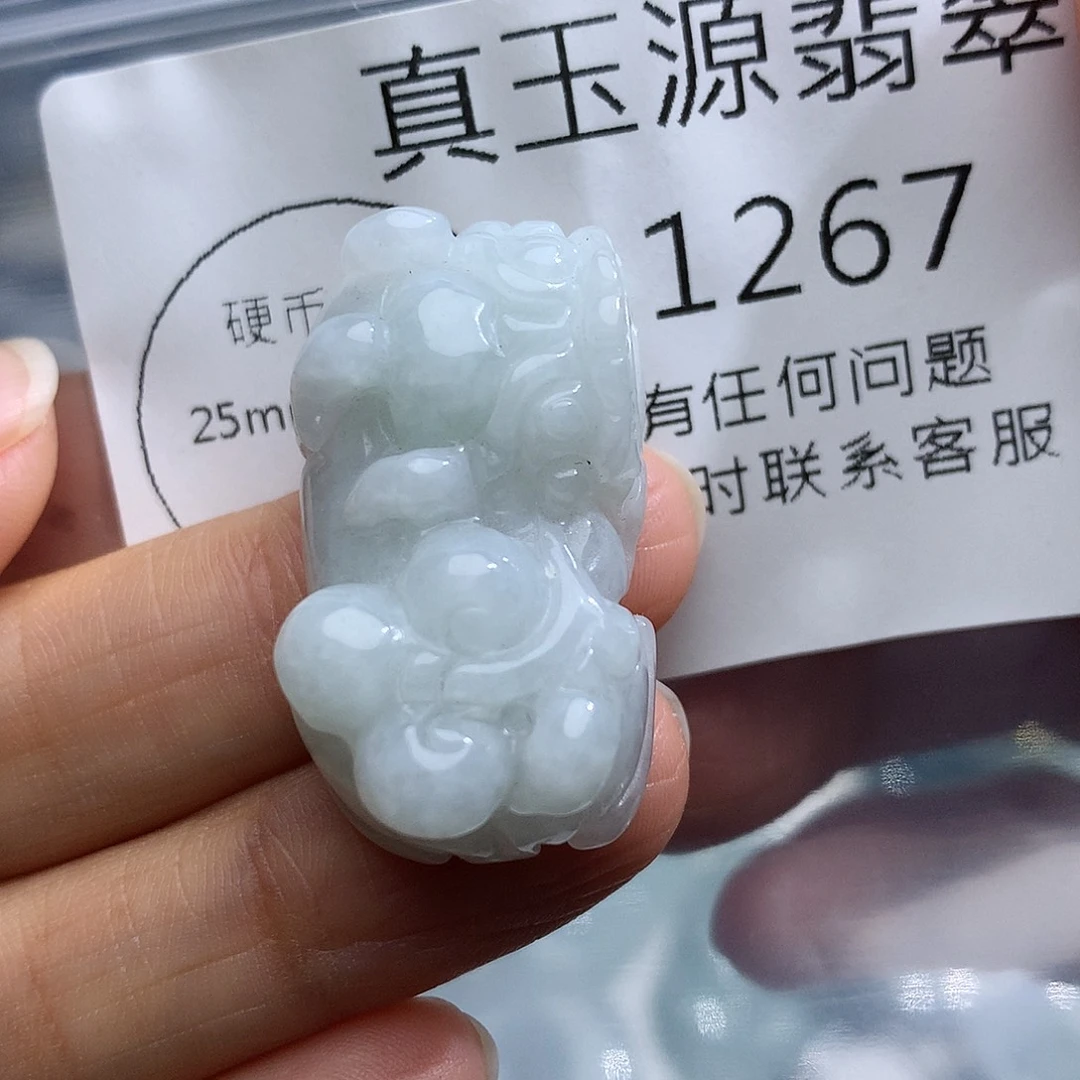 颈饰未镶嵌翡翠1267