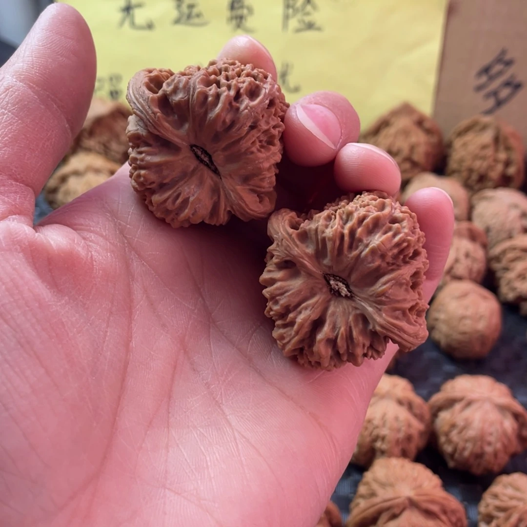 双*林南疆。   40尺。