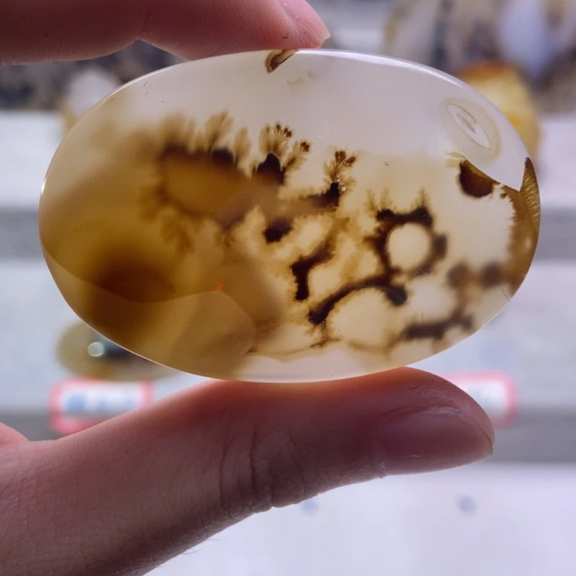 【闪购商品】未镶嵌玛瑙/玉髓珠宝奇石