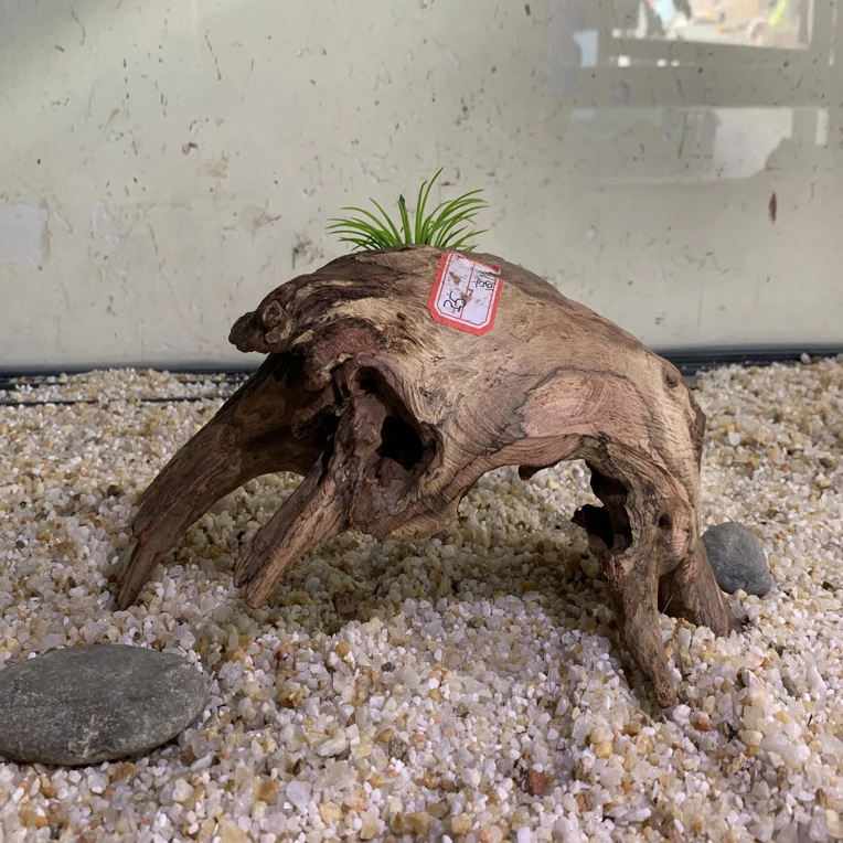 寄居蟹造景沉木尺寸，25 13 13