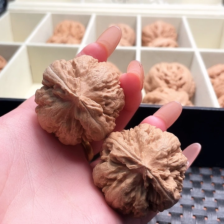 拾***一霸王龙核桃尺寸41+