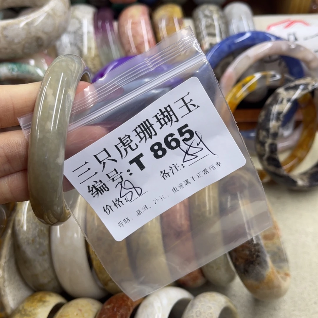 无***念硅化珊瑚（珊瑚玉）未镶嵌h