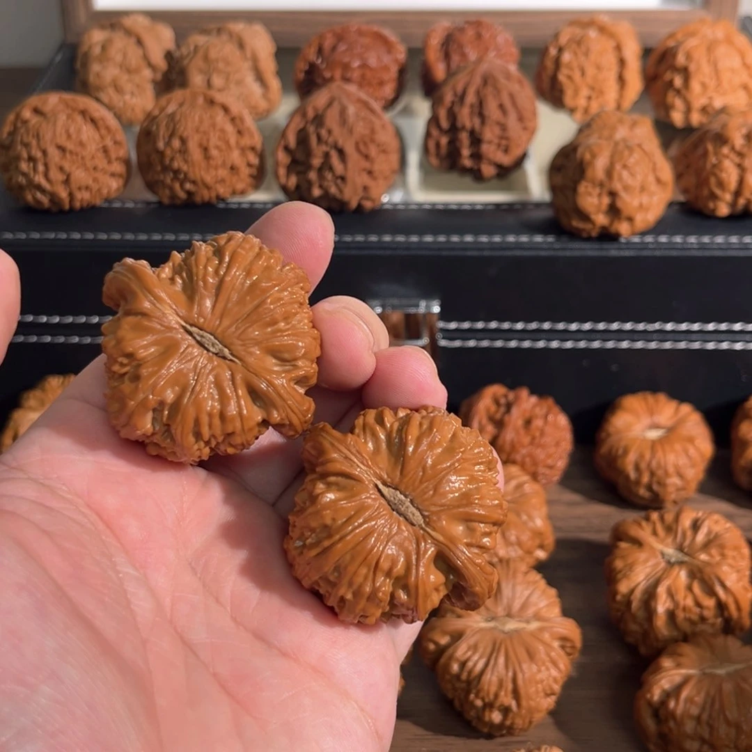 核桃手串/手链45全品球白回血