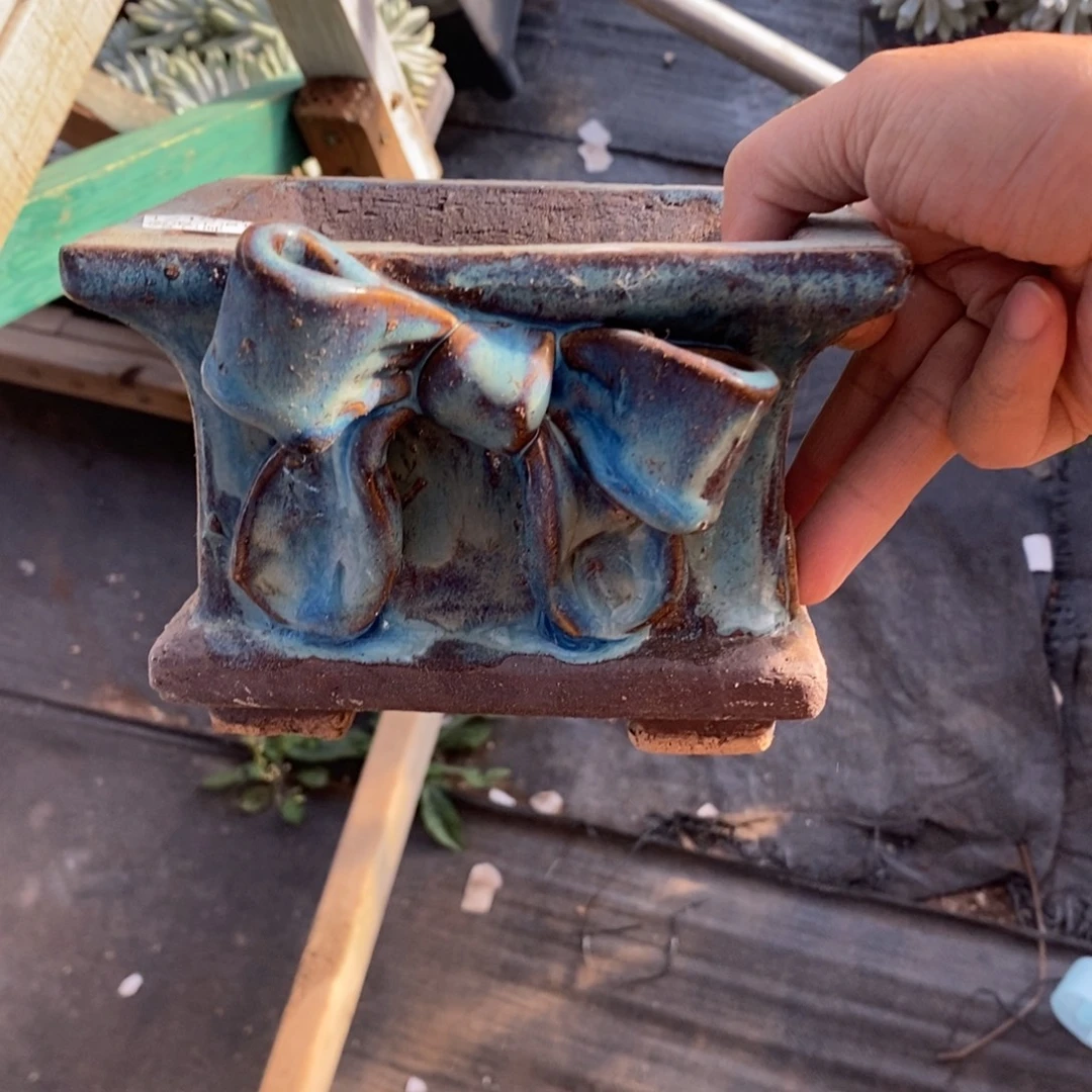 145号多肉盆口径12