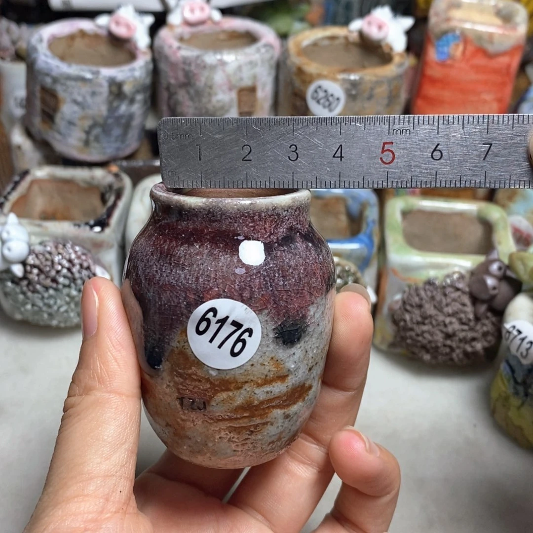 拍5送一个小礼物