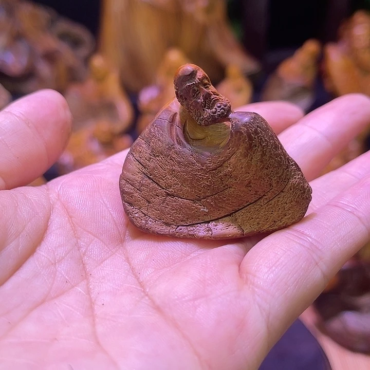 柏木（崖柏）88888888888888888888