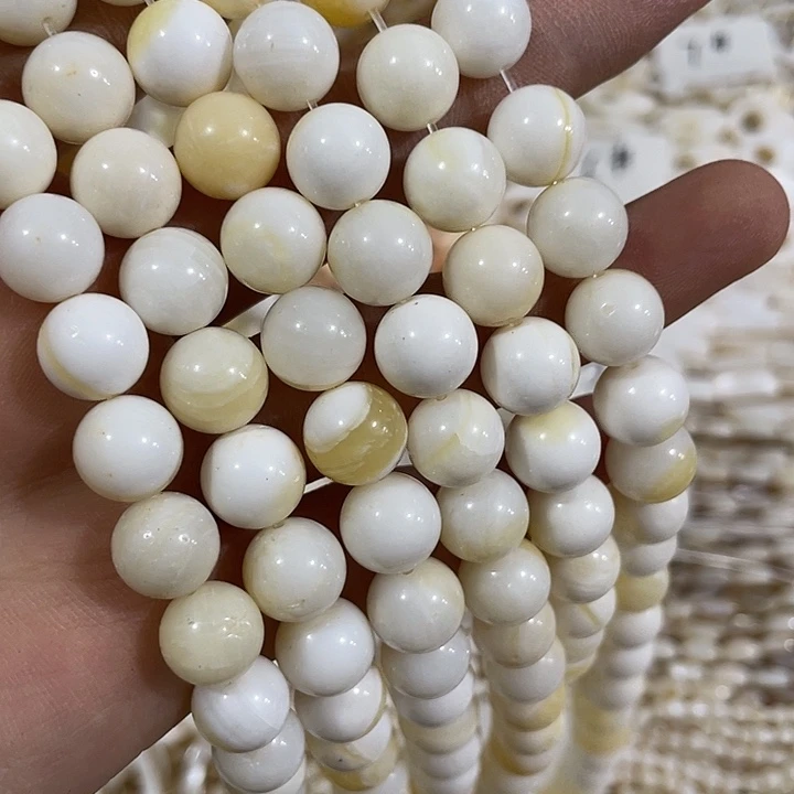 贝壳非金属一条10mm黄金玉化高级贝壳