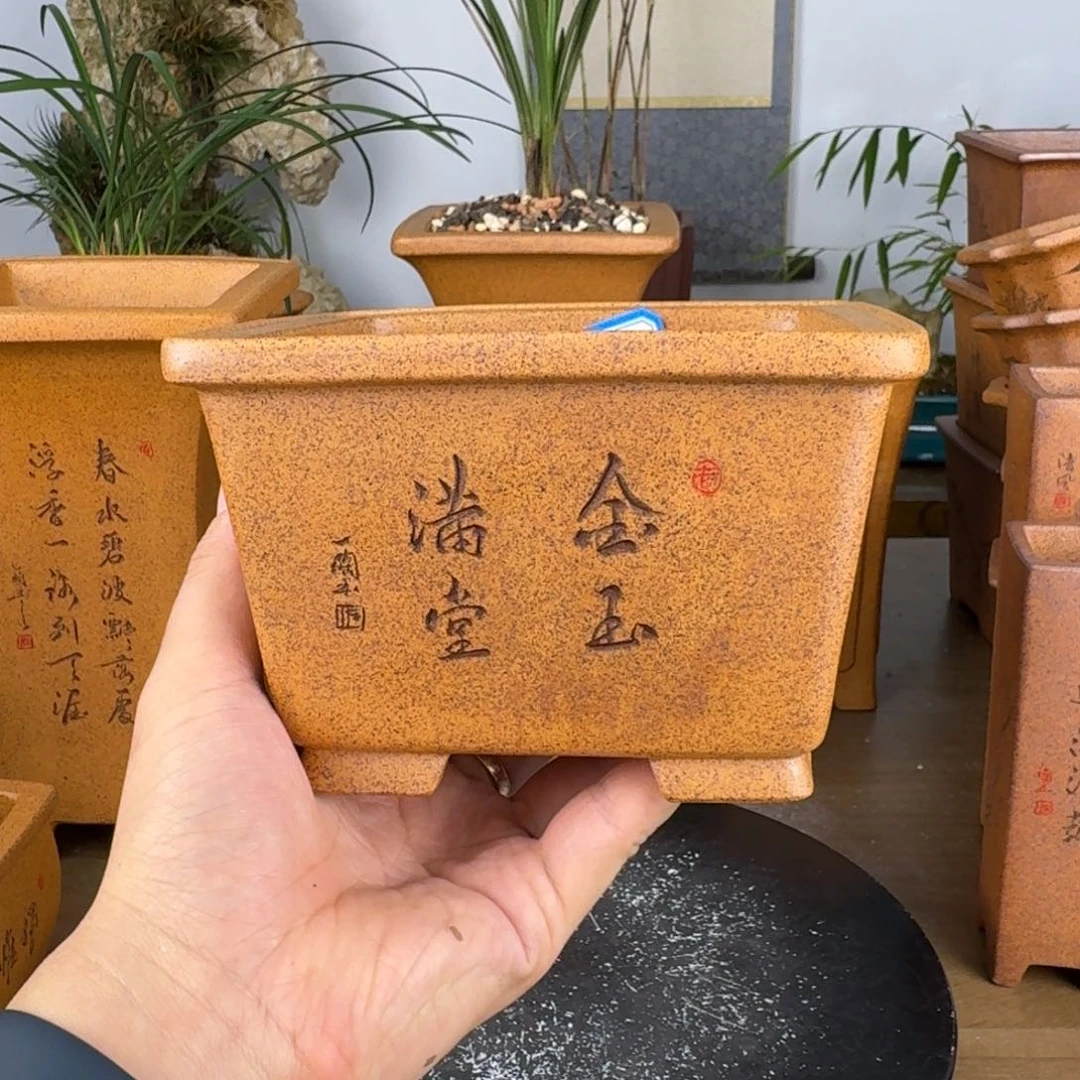紫砂花盆胡*紫砂花盆