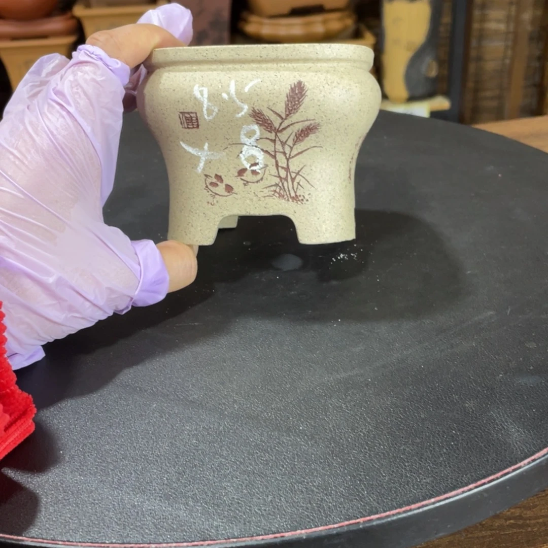 花盆紫砂紫砂和白