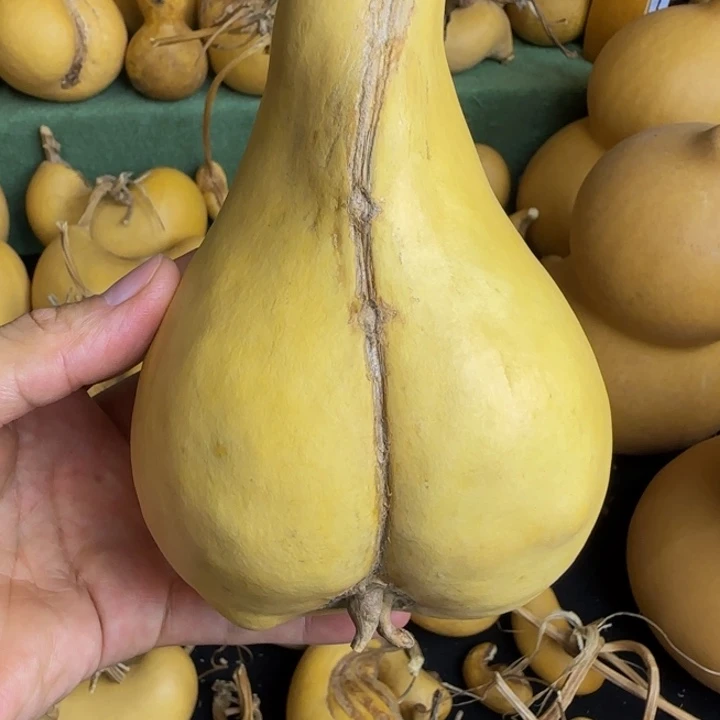 E***a葫芦腰子财包腰子葫芦腰子葫芦腰子