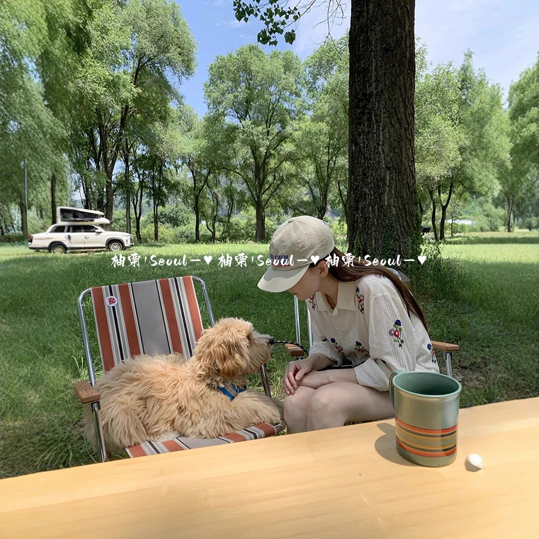 NO退NO换 粉丝专享T恤