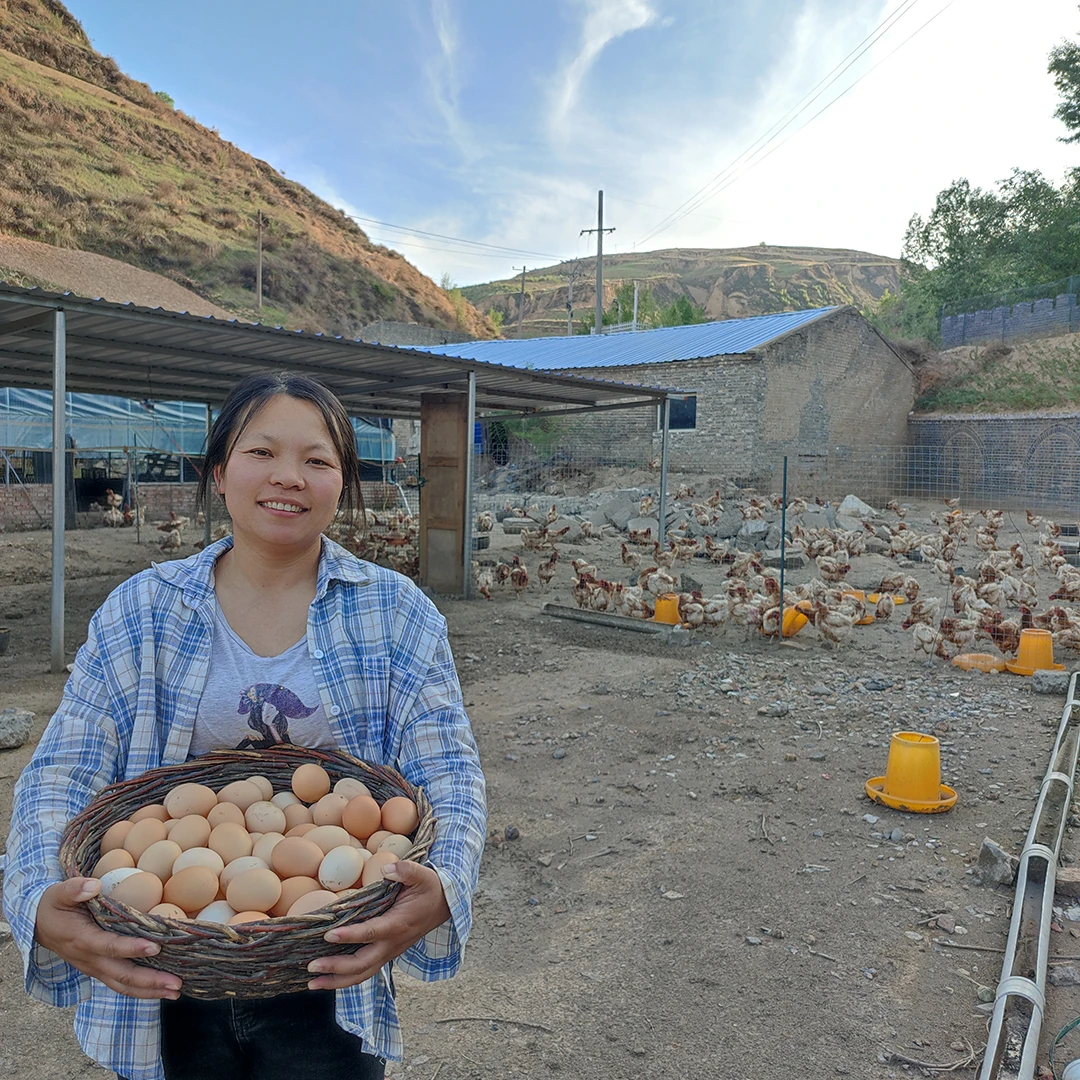 农村娜两口纯粮食散养土鸡蛋30颗包邮