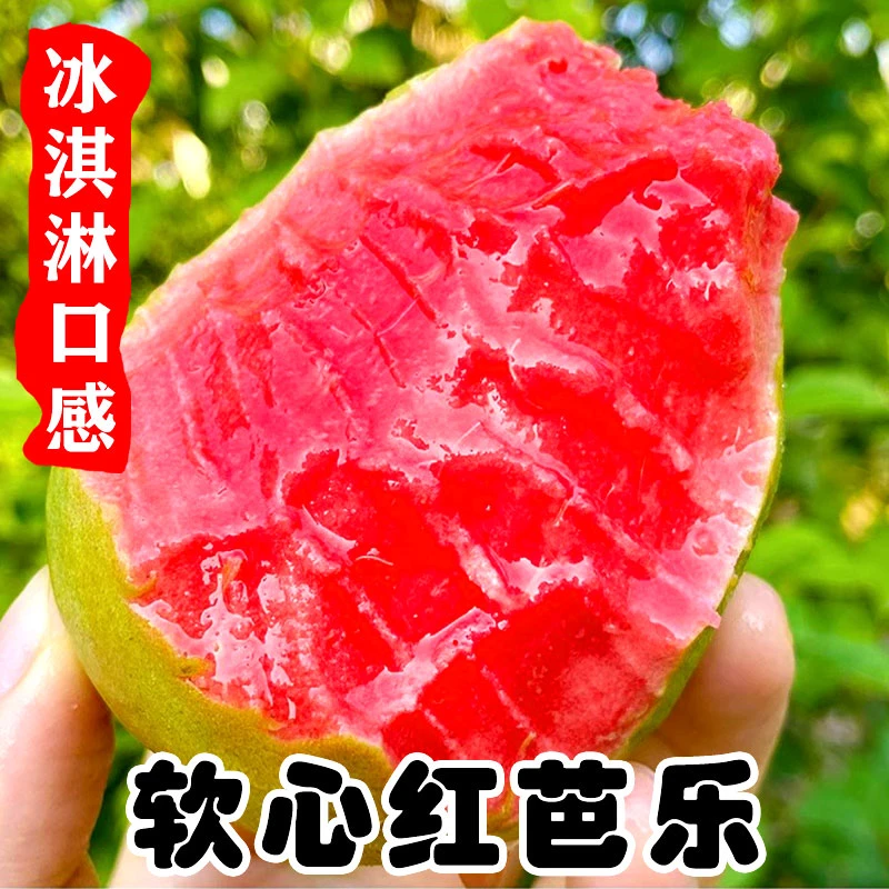 广西红心芭乐软心番石榴新鲜水果红心软芭乐 坏果包赔