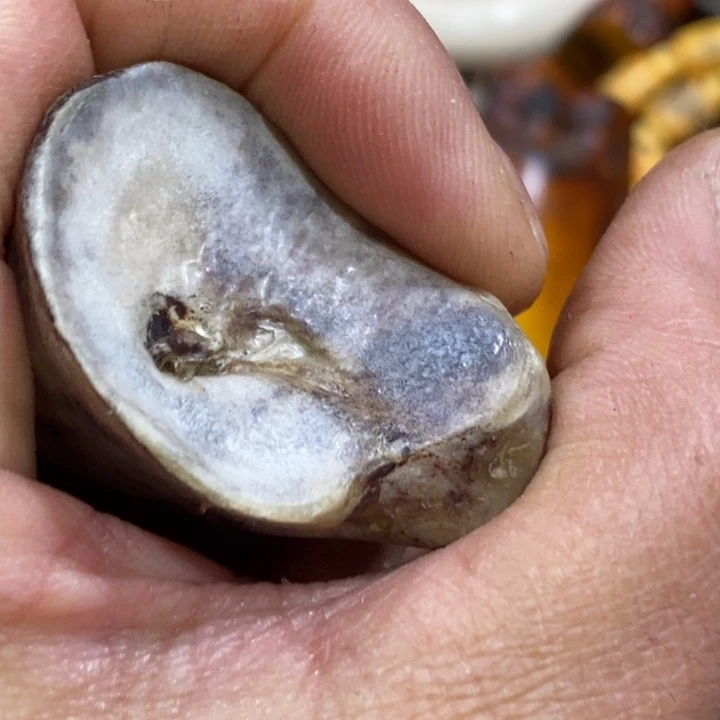 滴血莲花菩提吊坠