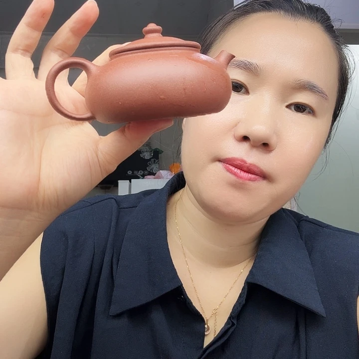 茶壶紫砂原矿半手工紫泥寒江200cc
