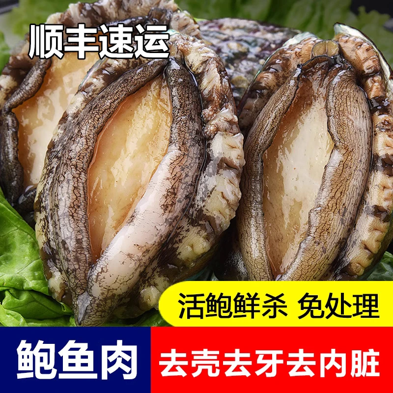 【顺丰冷链】活鲜现杀速冻东山岛深海鲍鱼6- 7厘米特大鲍鱼肉
