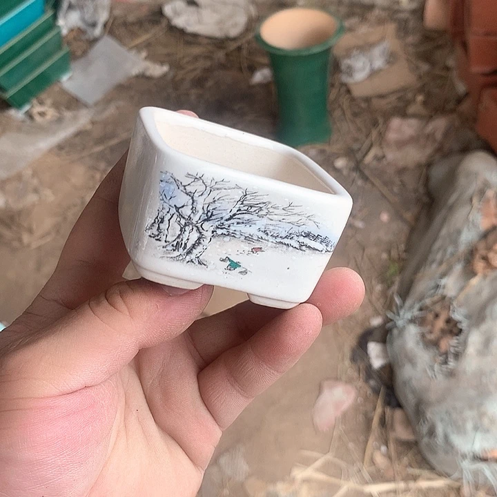 紫砂哈哈真的是太给力太