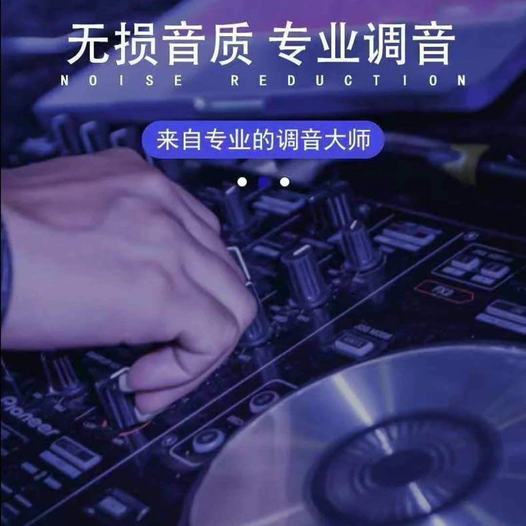 【2025至尊版】新款 抖音热歌中文DJ立体音质 万鑫无损黑胶CDHIFI